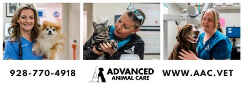 Advanced Animal Care in Fort Mohave: A Comprehensive Guide