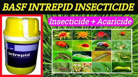 Advanced Features and Unique Aspects of Intrepid Insecticide