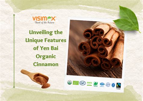 Advanced Features and Unique Aspects of cinnamonä¸­æ–‡