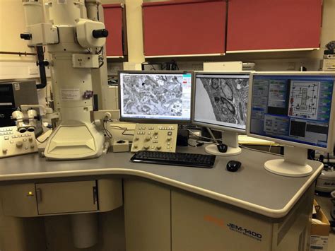 Advanced Microscopy Suite: