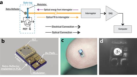 Advanced Optoelectronic Device Doc