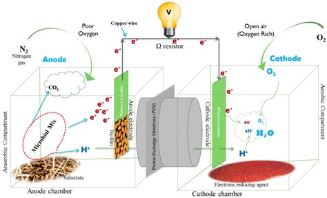 Advances in Fuel Cells Kindle Editon