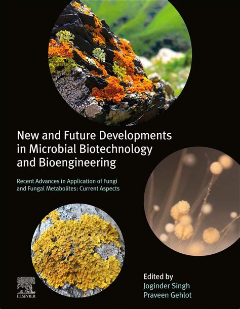 Advances in Fungal Biotechnology PDF