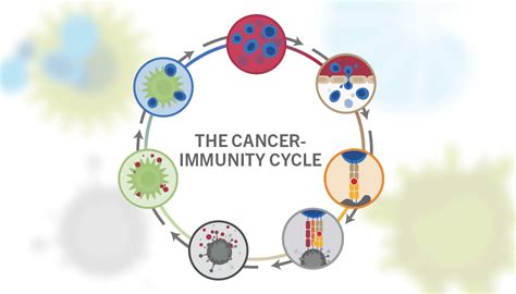 Advances in Immunity and Cancer Therapy PDF