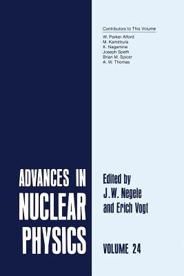 Advances in Nuclear Physics, Vol .24 1st Edition Doc