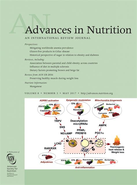 Advances in Nutritional Research Epub