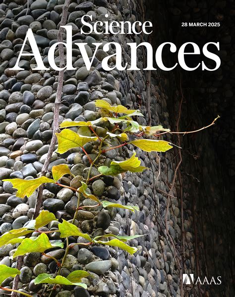 Advances in Soil Science 3 Epub