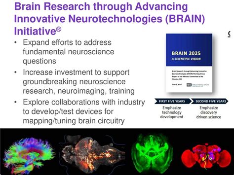 Advancing Neuroscience through Groundbreaking Research