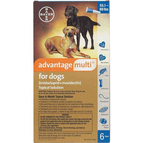 Advantage Multi for Dogs: 7 Essential Benefits for Optimal Canine Health