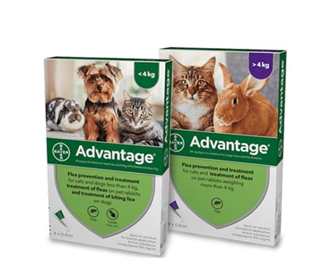 Advantage Plus for Cats: Unlocking the Power of Protection and Comfort