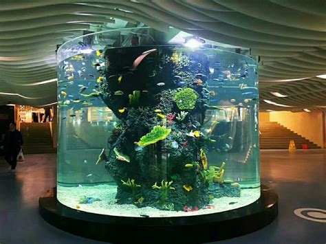 Advantages of Acrylic Aquariums: