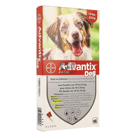 Advantix Dog