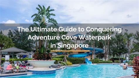 Adventure Cove Cabana: Your Guide to the Ultimate Waterpark Experience