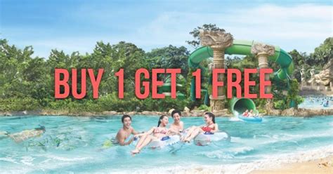 Adventure Cove Tickets 1 for 1: Your Guide to Fun and Excitement