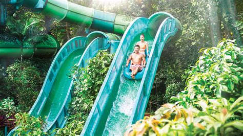 Adventure Cove Waterpark Sentosa: The Ultimate Aquatic Playground with 15 Thrilling Attractions