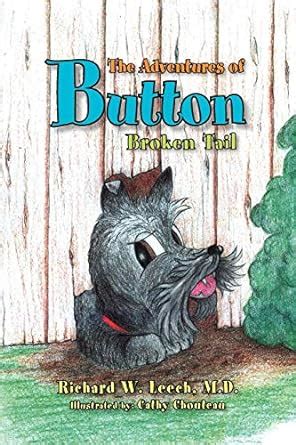 Adventures of Button Broken Tail Reader