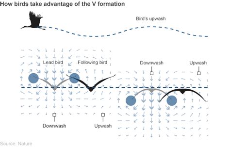 Aerodynamics and Efficiency: Lessons from the V-Formation