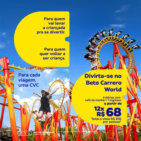 Aeroporto Beto Carrero: Um Portal para Aventura e Emoção