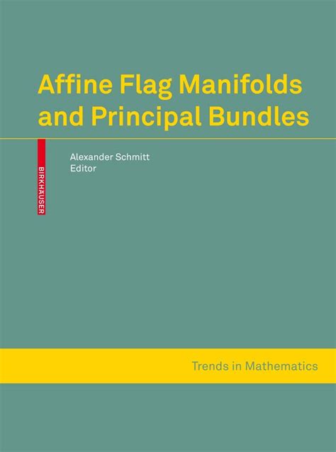 Affine Flag Manifolds and Principal Bundles Epub