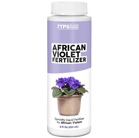 African Violet Fertilizer: 6 Vital Ingredients