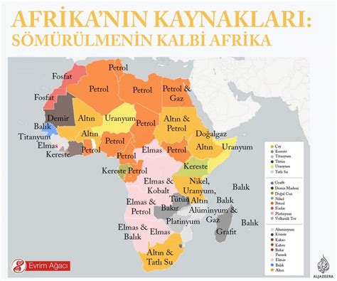 Afrika'nın Zenginlikleri: Nüfus, Kaynaklar ve Fırsatlar