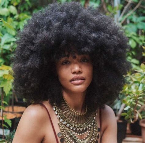 Afro Curly Hair: A Guide to Natural Beauty