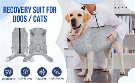 After Surgery Shirts for Dogs: Comfort and Protection During Recovery