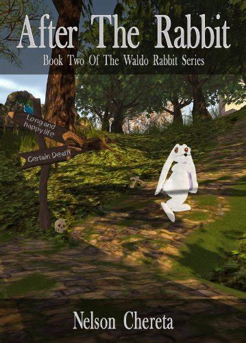 After The Rabbit Book Two Of The Waldo Rabbit Series Doc