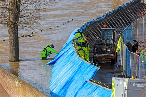 Against the Flood Reader