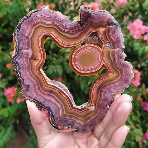 Agate Slices: A Geological Wonder