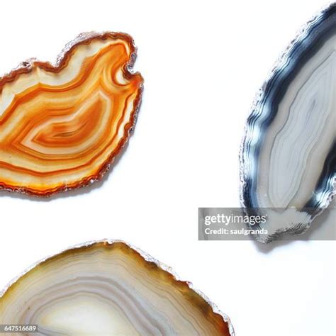 Agate Slices: Unearthing the Beauty and Versatility of Nature's Masterpieces