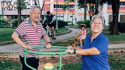 Ageing in Place Singapore: A Comprehensive Guide to Live Well, Age Well