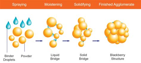 Agglomeration PDF