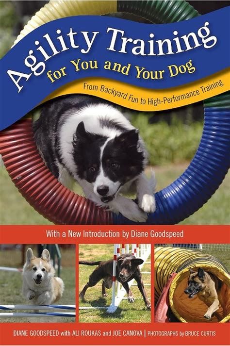 Agility Training for You and Your Dog From Backyard Fun to High-Performance Training Kindle Editon