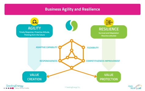 Agility in Business and IT: A Symbiotic Relationship for Success