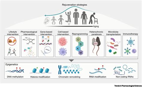 Aging Interventions and Therapies Kindle Editon