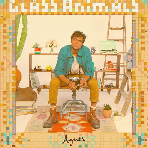 Agnes, a Captivating Glass Animals Lyric for a Wealth of Insights