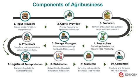 Agri-Business and Market Management Kindle Editon