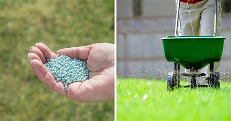 Agri-Fertilizer: 5 Key Considerations Before Fertilizing Your Crops