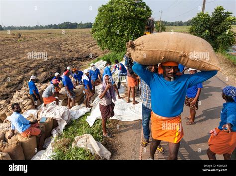 Agricultural Labour in Indian Doc