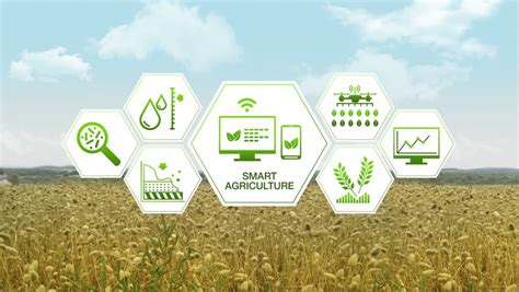 Agricultural Revolution: Data-Driven Farming