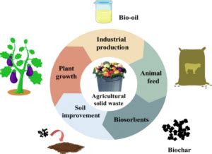 Agricultural Waste Compost Turner: A Solution to Waste Management for a Sustainable Future