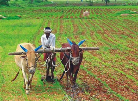 Agriculture's E Reader