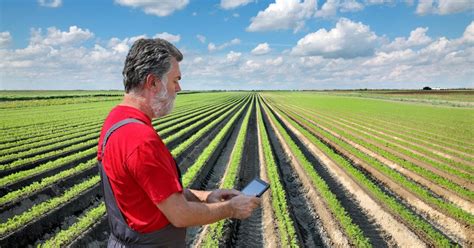 Agriculture Jobs in Florida: A Growing Field with 126,900 Opportunities