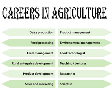 Agriculture Jobs in Texas: A Growing Field with Abundant Opportunities