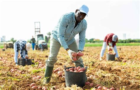 Agriculture Jobs in Texas: A Thriving Opportunity for 850,000 Texans!