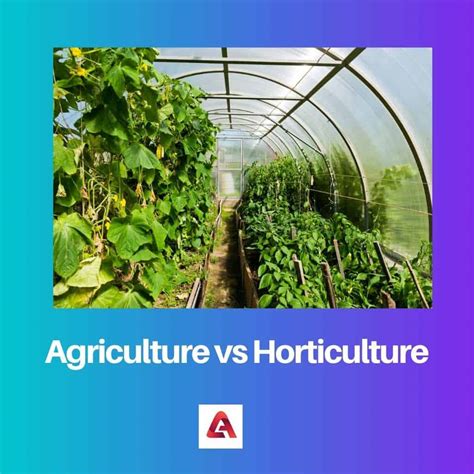 Agriculture and Horticulture: