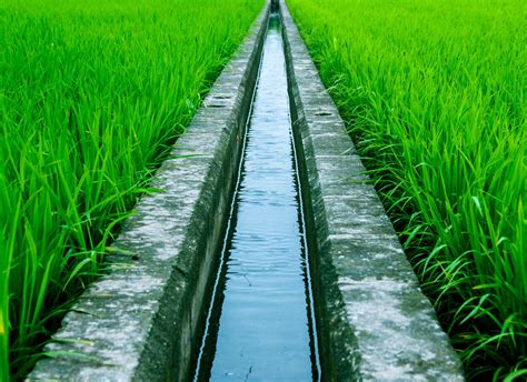 Agriculture and Irrigation: