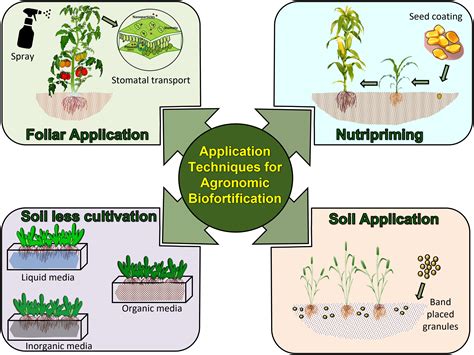 Agritech Fertilizer: Modernizing the Future of Crop Nutrition