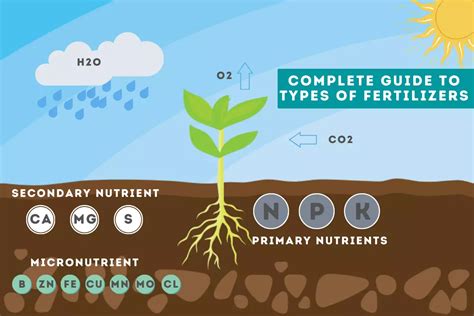 Agro Liquid Fertilizer: A Comprehensive Guide to the 3 Essential Types